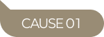 CAUSE01