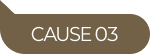 CAUSE03